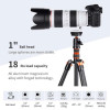 Головка штативная шаровая K&F Concept BH-25 (KF31.029V3)